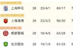 开云体育官网-上海申花主场绝杀对手，积分不断攀升