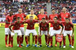 开云体育官网-奥地利队客场胜出成功晋级欧洲杯