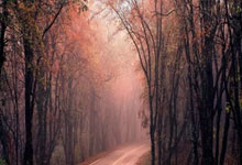 开云体育app-包含葡萄牙女足欧洲杯预选赛梦幻收官的词条