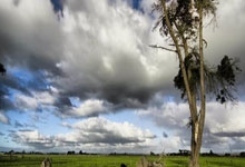 开云体育地址-法兰克福主场斗志昂扬 逼平强敌莱比锡，法兰克福 vs 莱比锡