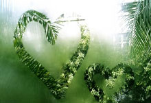 开云体育平台-格拉德巴赫制霸！逆袭榜首拜仁，历史性狂胜！，格拉德巴赫啤酒