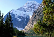 开云体育网站-主场之利？德甲球队主场比赛的优势与劣势分析，德甲球场容量排名