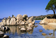 开云体育官网-沃尔夫斯堡重返德甲，球迷激动迎接壮丽归来，沃尔夫斯堡球员